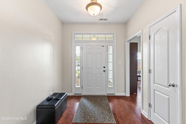 foyer featuring dark wood-type flooring