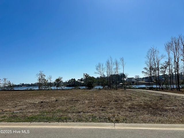 Listing photo 2 for 46 Crown Pointe Dr Unit 46, Hampstead NC 28443