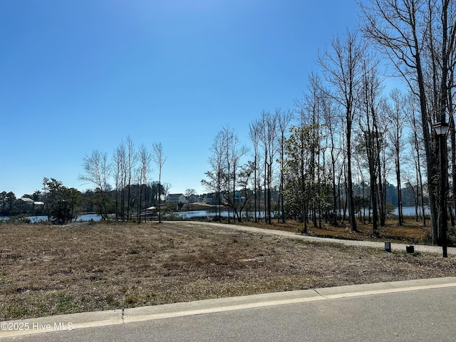 Listing photo 3 for 46 Crown Pointe Dr Unit 46, Hampstead NC 28443