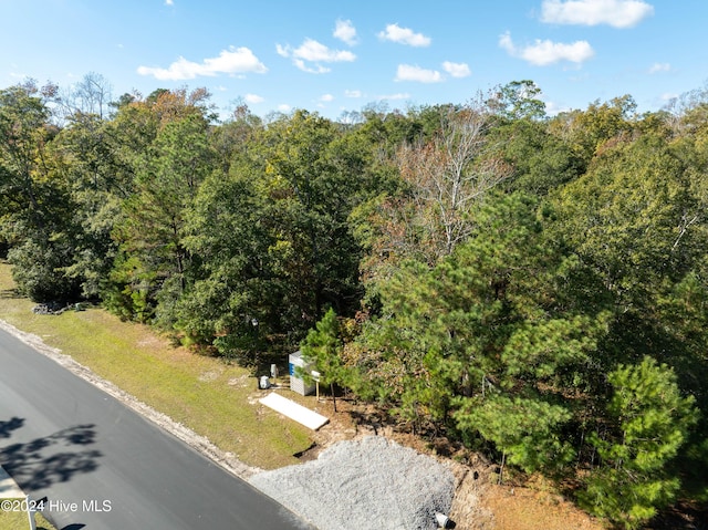 bird's eye view with a view of trees