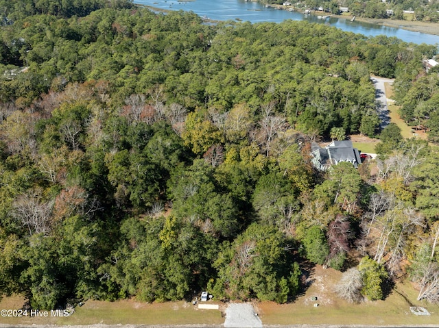 drone / aerial view with a water view and a view of trees