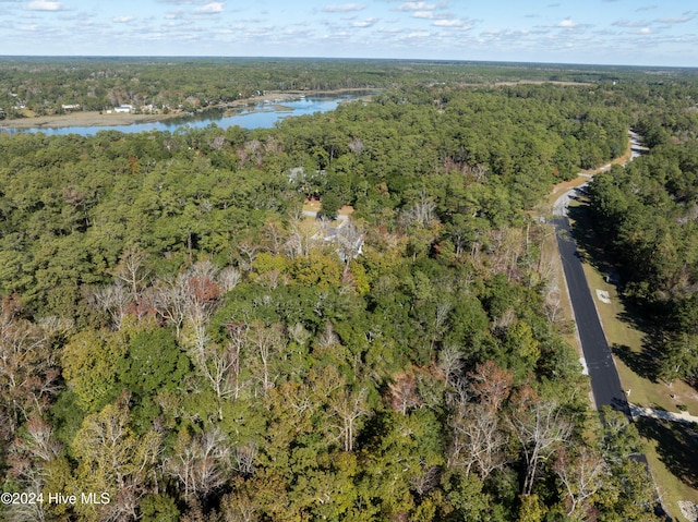 birds eye view of property featuring a water view and a view of trees