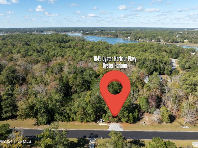 drone / aerial view featuring a water view and a view of trees