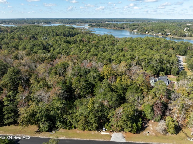 drone / aerial view with a water view and a view of trees