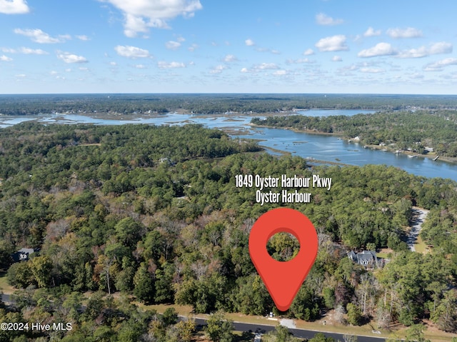 bird's eye view featuring a water view and a view of trees