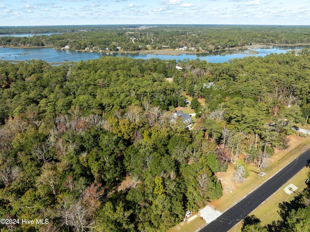 aerial view featuring a water view and a view of trees