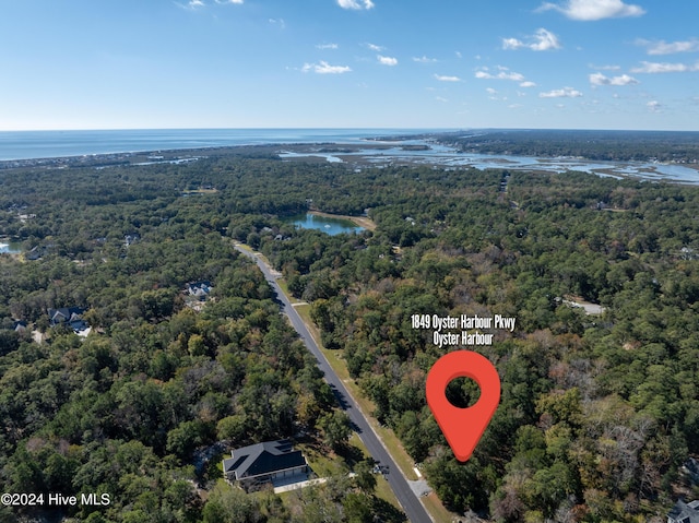 bird's eye view featuring a water view and a wooded view