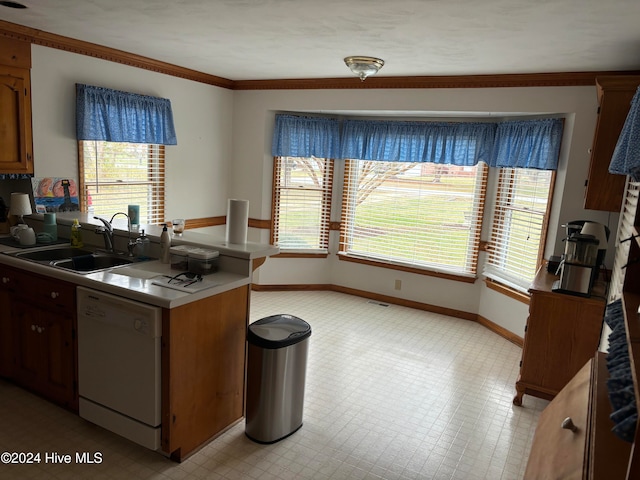 kitchen featuring dishwasher, a healthy amount of sunlight, and sink