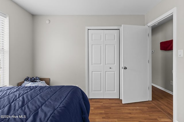 bedroom with a closet and dark wood-type flooring