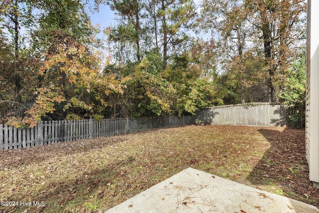 view of yard featuring a patio