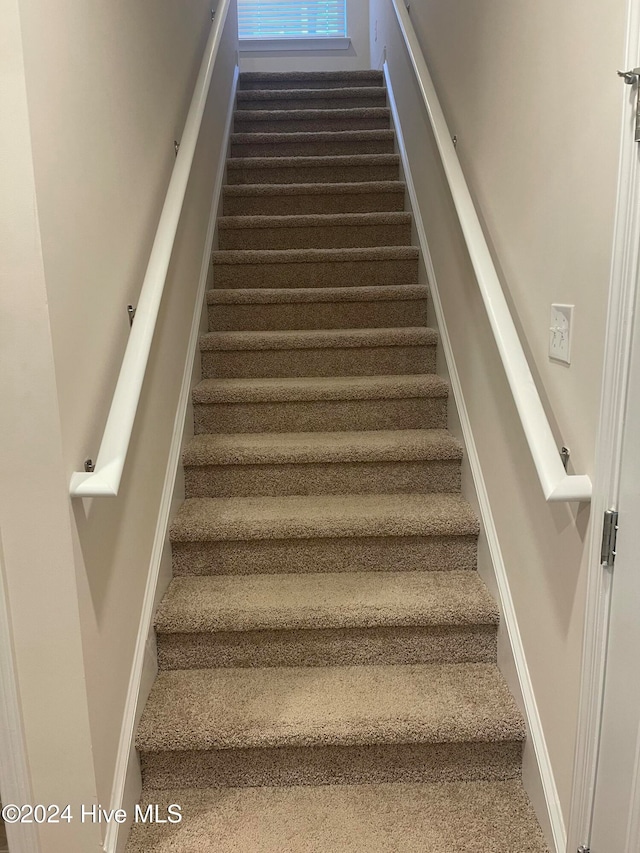 staircase with carpet floors