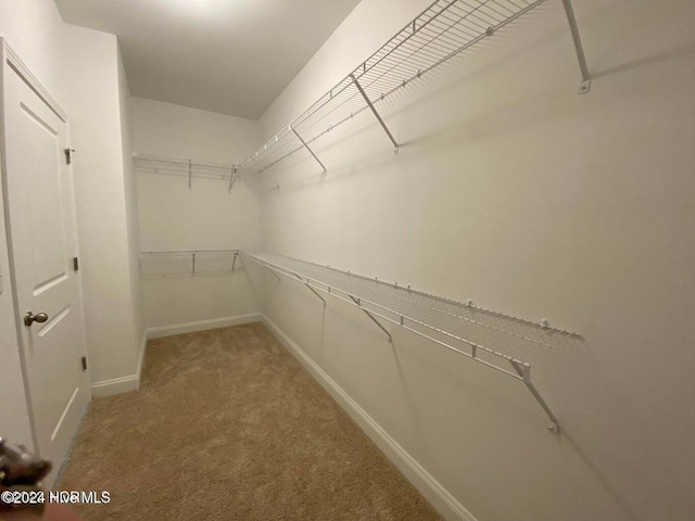 walk in closet featuring carpet