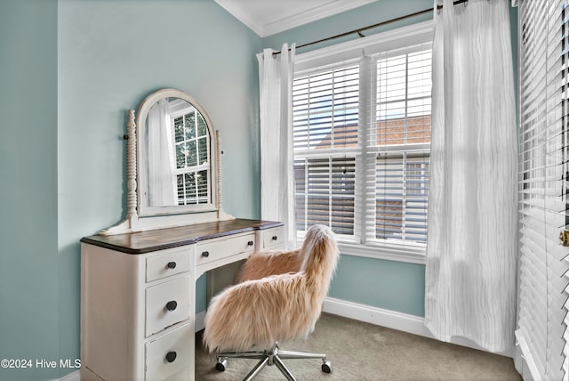 office area with light colored carpet and crown molding