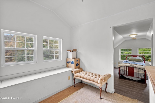 16200 US Highway 421, Burgaw, NC 28425 - bedroom featuring lofted ceiling, multiple windows, and wood finished floors