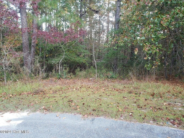 6 Brassie Cir, Jackson Springs, NC 27281