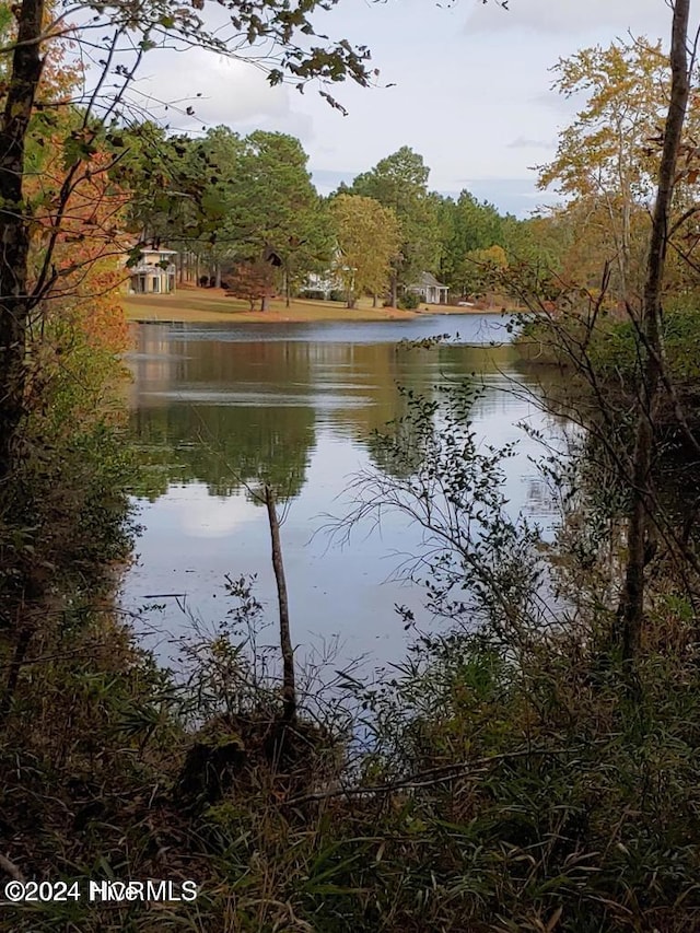 6 Brassie Cir, Jackson Springs, NC 27281