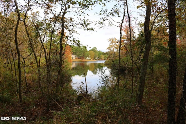 6 Brassie Cir, Jackson Springs, NC 27281