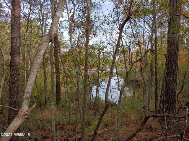 6 Brassie Cir, Jackson Springs, NC 27281