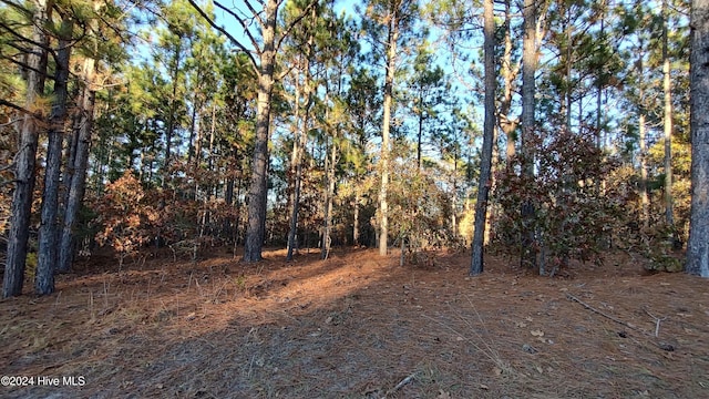 6 Brassie Cir, Jackson Springs, NC 27281