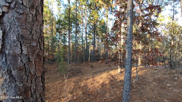 6 Brassie Cir, Jackson Springs, NC 27281