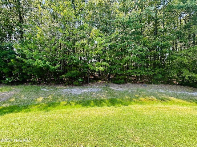 60 Paint Ln Unit Jj-60, Hertford NC, 27944 land for sale