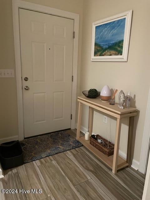 entrance foyer featuring wood-type flooring