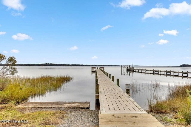 dock area featuring a water view