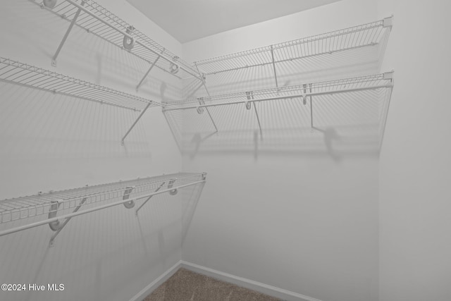 walk in closet featuring dark carpet