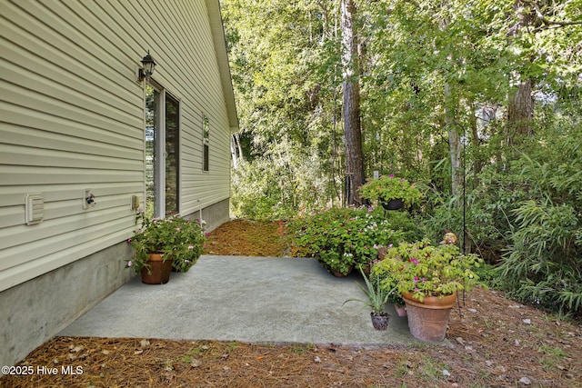 view of yard featuring a patio