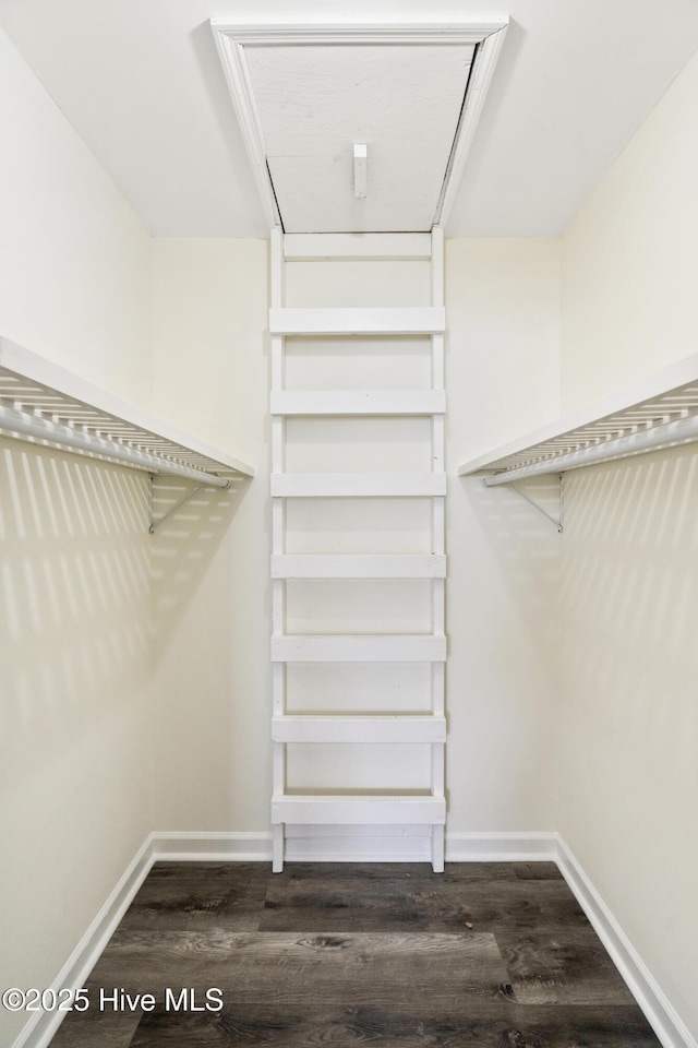 spacious closet featuring dark hardwood / wood-style flooring