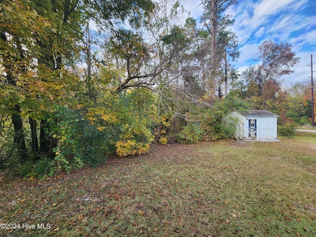 view of yard with a storage shed