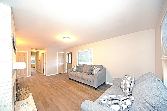 living room with hardwood / wood-style floors