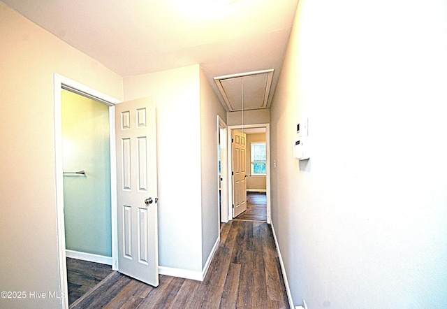 corridor with dark wood-type flooring