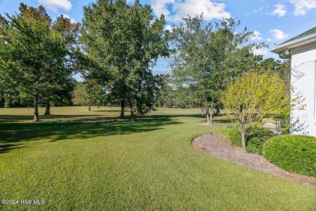 109 St Gallen Ct, New Bern, NC 28562 - view of grassy yard with view of scattered trees