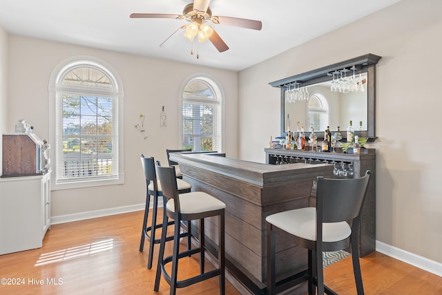 bar with light hardwood / wood-style floors, a wealth of natural light, and ceiling fan