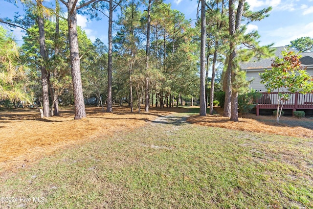 view of yard featuring a deck