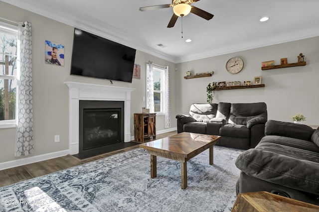 living room featuring plenty of natural light, ceiling fan, dark hardwood / wood-style flooring, and ornamental molding