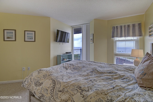 2000 New River Inlet Rd Unit 1203, North Topsail Beach, NC 28460 - bedroom featuring multiple windows, carpet, baseboards, and access to outside