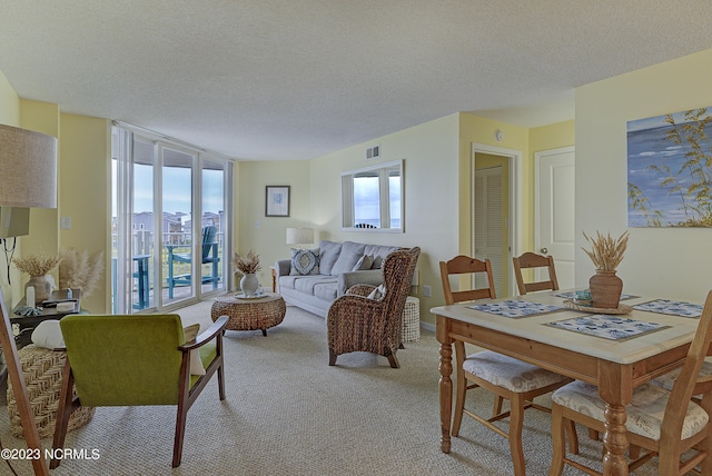 2000 New River Inlet Rd Unit 1203, North Topsail Beach, NC 28460 - living area with light colored carpet and a textured ceiling