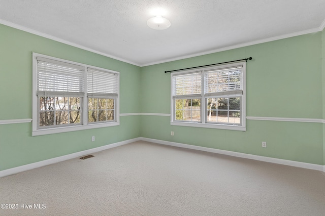 carpeted empty room with ornamental molding and a textured ceiling