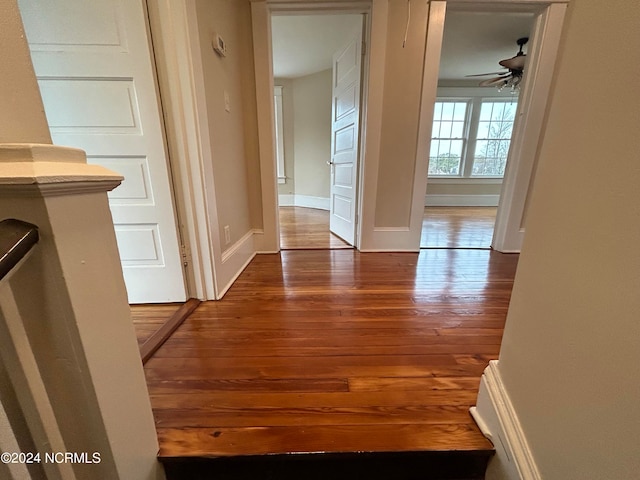 corridor featuring dark hardwood / wood-style floors