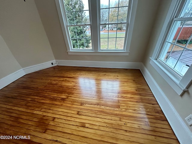 spare room featuring wood-type flooring