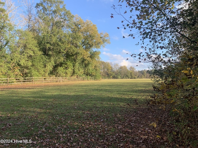 view of yard with a rural view