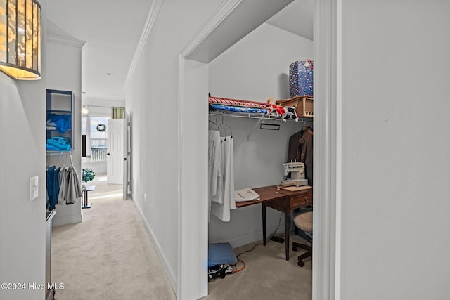 walk in closet with light colored carpet