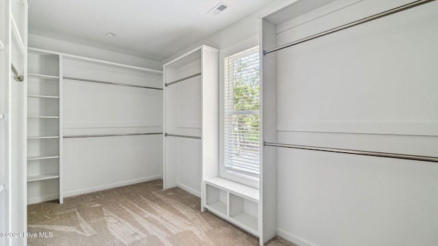 walk in closet with light carpet