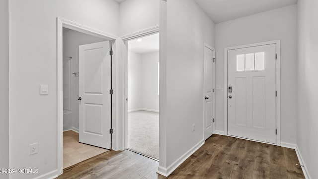 foyer entrance with wood-type flooring