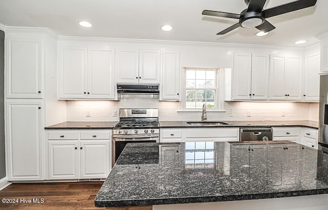 kitchen featuring sink, white cabinets, dark wood-type flooring, and appliances with stainless steel finishes