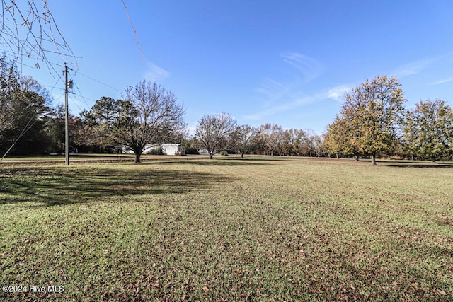 view of yard featuring a rural view