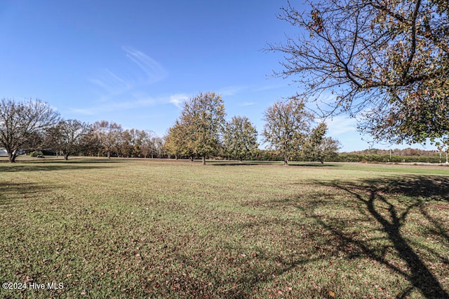 view of yard featuring a rural view