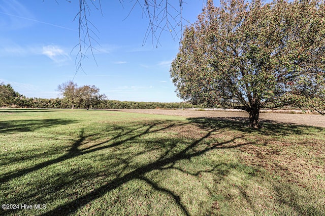 view of yard with a rural view